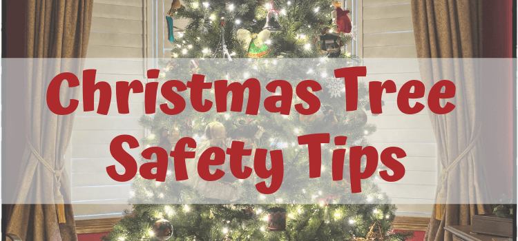 Christmas Tree Safety Tips Graphic