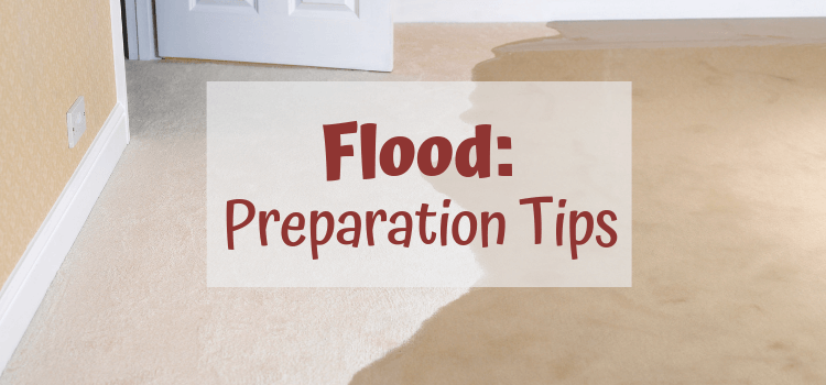 Flood Preparation Tips Graphic