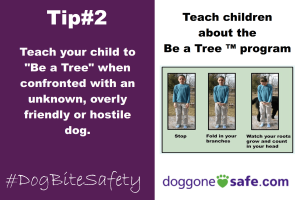 Safety Tip Graphic