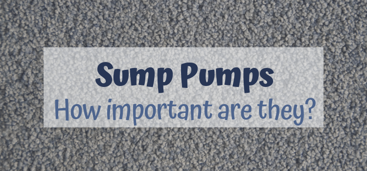Sump Pump Graphic